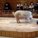 이천두농장 이미지