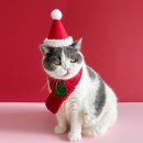 산타와 미니 이미지