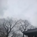진도 동석이를 첨찰 운림산방에 세우다. 이미지
