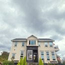 세난포레스트