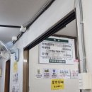 여객선터미널관광안내소 | [울릉도 독도여행] 7. 울릉도 자유시간: 해안산책, 낚시, 먹거리/식당(박가네 따개비칼국수/독도반점...
