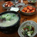 패러글라이딩활공장 티스토리