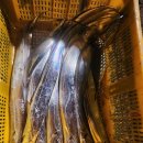 여름 보양식 (7월) 이미지