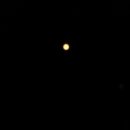 정다운농장 이미지