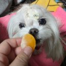 민민농수산 귤 제주 노지 조생 귤 택배 구매 후기