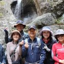 법무공인중개사사무소 이미지