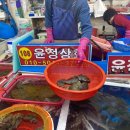 윤정상회 이미지