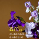 바라라