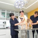 대구축산 동물병원 이미지