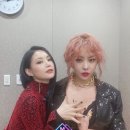 늘나르샤