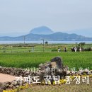 하모리-11 | 가파도 가는 방법 총정리, 배편 시간표부터 꼭 알아야 할 꿀팁까지!