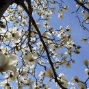 마재근린공원 이미지