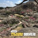 광양우체국 | 봄이 왔어요🎵 2026 광양 매화축제 탐방기(주차, 입장료, 스탬프 투어 소개)
