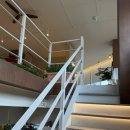 참조은마트 | [충북 청주시] 여유로운 분위기의 청주 베이커리 카페 소금빵 맛집 | 바이덴