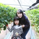 스태츠칩팩코리아 노동조합 이미지