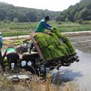 시곡1통 이미지