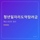 도약 | 청년일자리도약장려금 후기