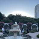 오산세교우체국 | 오산 장미축제] 고인돌공원 장미빛축제 주차 꿀팁