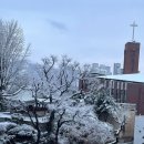 도호농장 이미지