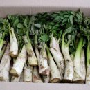 자연대로 이미지