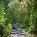 에이치티앤씨(주) 이미지