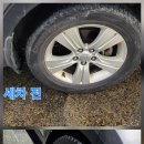 월드손세차장 이미지