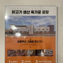 치킨리스트27 주안점 | 별내 치킨 맛집 가마치통닭, 별내카페거리 맛집 인정! 남양주 맛집 추천 리스트 추가