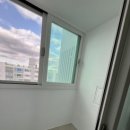 국화한신 이미지