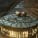 예그리나 B | 영월 예그리나 숲, 단풍 캠핑장 오토 캠핑 후기