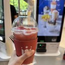 할리스커피 - 안양시 동안구 관평로170번길 43 | 여의도 카페 할리스커피 수박주스 후기