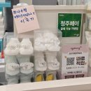 아가방갤러리 | [청주/아가방] 아가방 청주율량아가방갤러리 조카 돌선물 내돈내산 구입후기