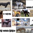 마코순천 - 순천시 이수로 304 | 마코순천