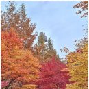 준 행정사사무소 이미지