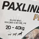 팍스메디칼 이미지