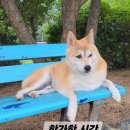 피서농장 이미지