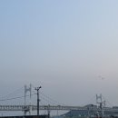 미소집 조개마당 이미지