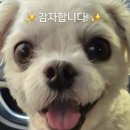 쿵푸양꼬치상록수역점