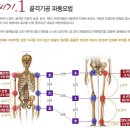 신진기공