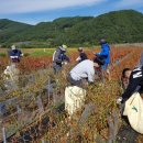 청기면사무소 이미지