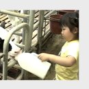 젖소목장 이미지