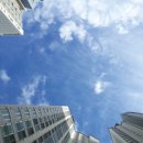 보은상회 이미지