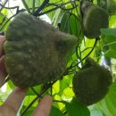 현재농장 이미지