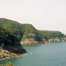 구덕산책로 숲길 이미지