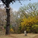 망우산 2보루 이미지