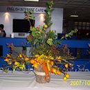 천천중학교 이미지