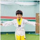 대호태권도체육관 이미지