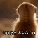 공차강변테크노마트