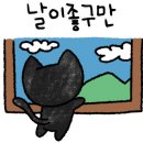 트리마란필라테스