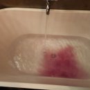 레몬무인텔 이미지