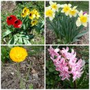 노적애뜰 이미지